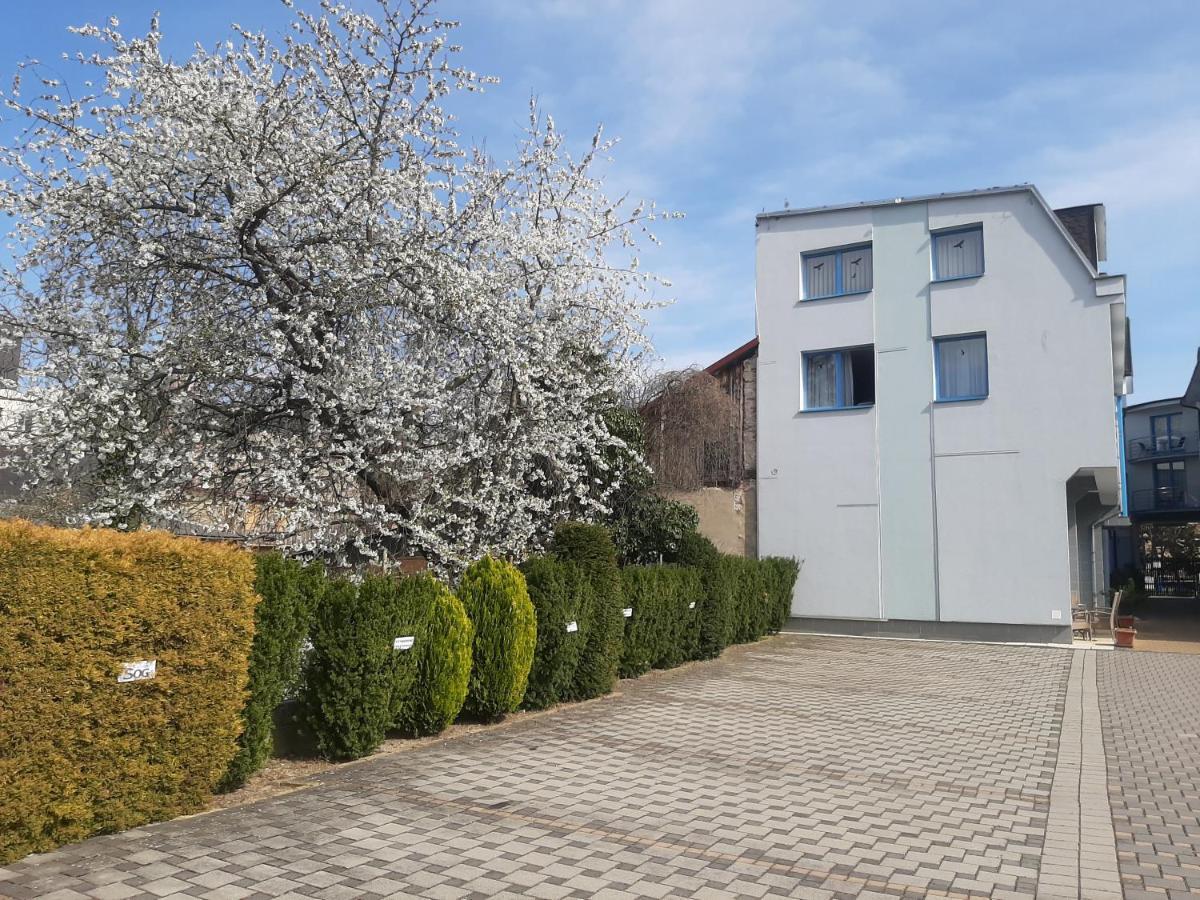Garni Hotel S.O.G.* * * Trencin Exterior photo